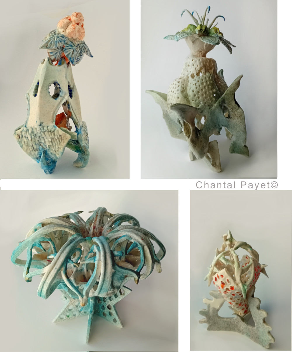 Château de Musinens